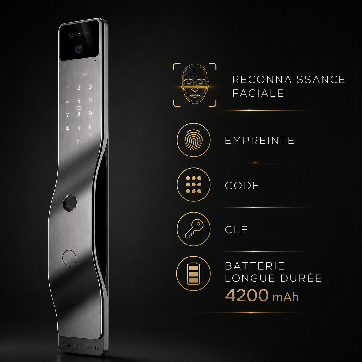 Serrure à Reconnaissance Faciale et Empreinte Digitale