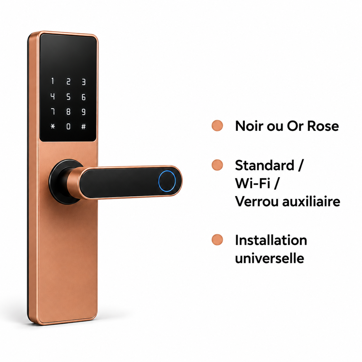 Serrure sur fond blanc présentant ses finitions et ses versions disponibles